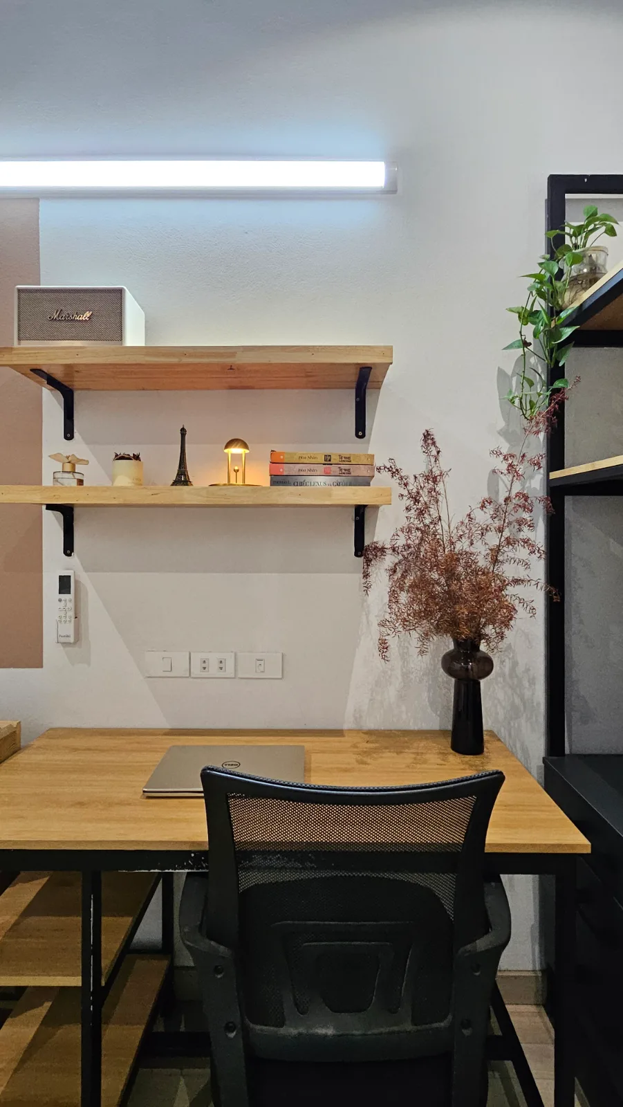 P102 · AOM Home 1